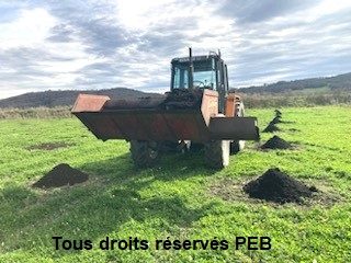 tracteur PEB modifié pour la culture du paulownia