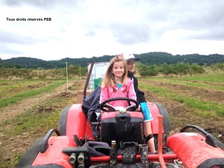 Les enfants distribuent l'eau aux paulownias