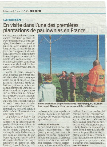 journal sud ouest 5 avril 2023 article paulownia
