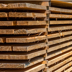 vente bois paulownia PEB planches avivés madriers sur mesure 